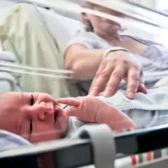 Noworodek, dziecko urodzone w 36 tygodniu, leży w inkubatorze. Mama delikatnie dotyka jego paluszka.