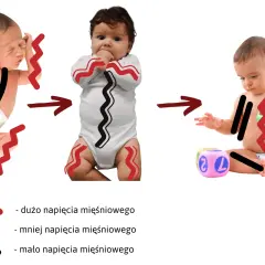 Zmiana napięcia mięśniowego u niemowląt: od wzmożonego napięcia obręczy barkowej do swobodniejszych ruchów.