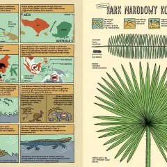 Park Narodowy Komodo: mapy, zwierzęta i rośliny. Dowiedz się, którędy do Yellowstone, odkrywając fascynujące gatunki i linie podziału fauny.