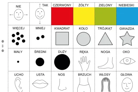 Zestaw kart do druku dla 8 latka: kolory, kształty, liczebność, części ciała i rozmiary.