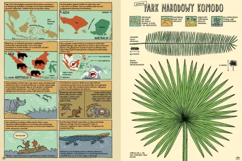 Park Narodowy Komodo: mapy, zwierzęta i rośliny. Dowiedz się, którędy do Yellowstone, odkrywając fascynujące gatunki i linie podziału fauny.