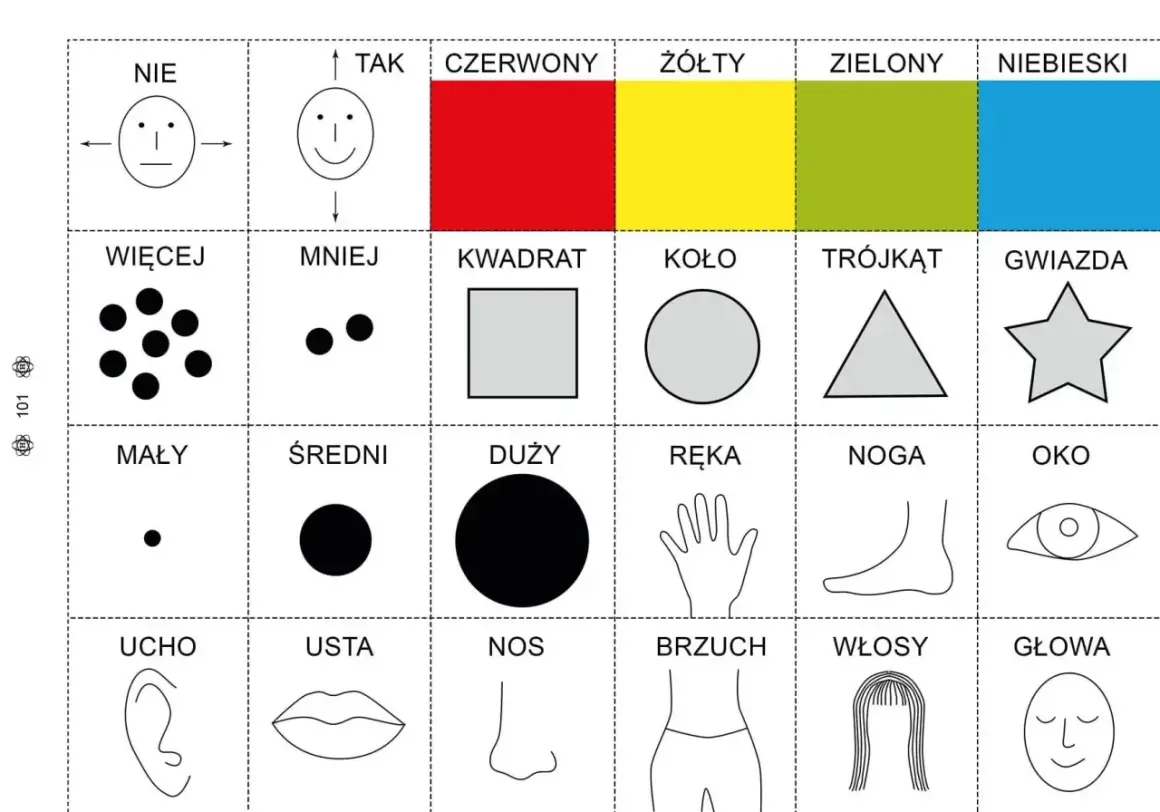 Zestaw kart do druku dla 8 latka: kolory, kształty, liczebność, części ciała i rozmiary.
